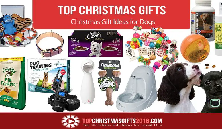 Best Christmas Gift Ideas for Dogs 2018